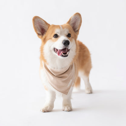 Bandana Fawn