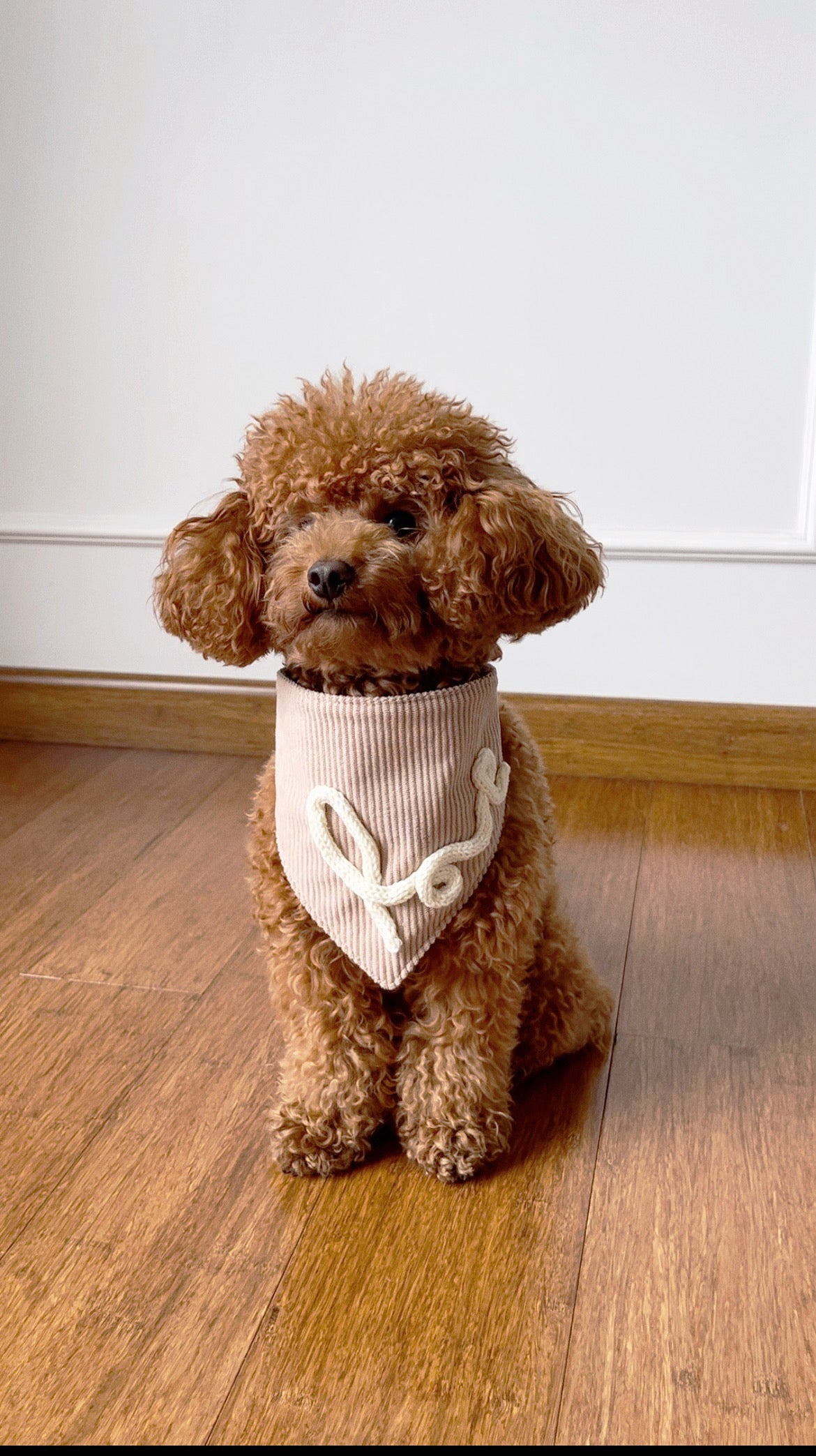 Bandana Love