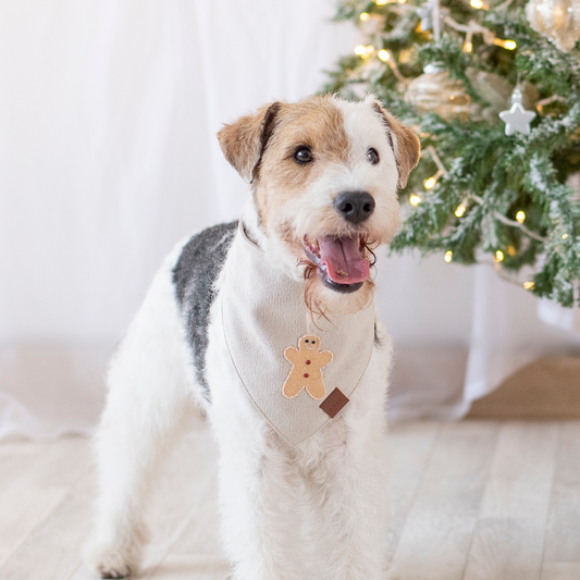 Bandana Gingerbread